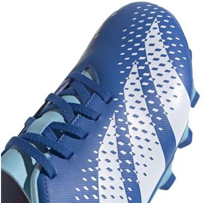 Adidas Predator Accuracy.4 FxG M GZ0010 football shoes