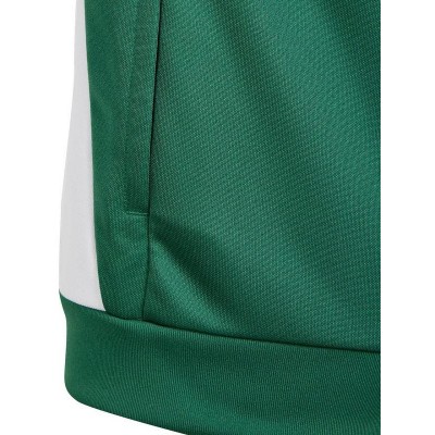 Adidas Tiro 24 Training Jr IR7503 sweatshirt