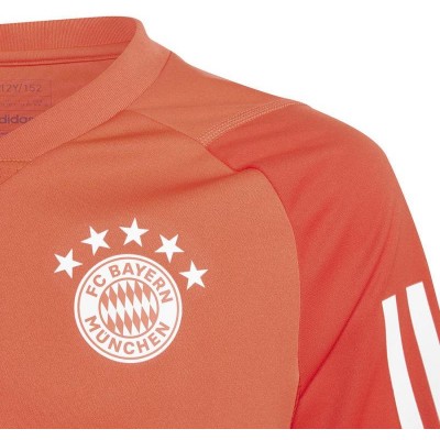 Adidas FC Bayern Training JSY Jr T-shirt IQ0613