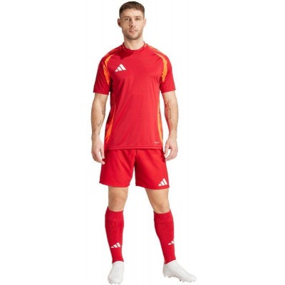 Adidas Tiro 24 Competition Training M shorts IK2245