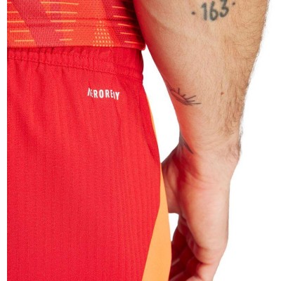 Adidas Tiro 24 Competition Training M shorts IK2245