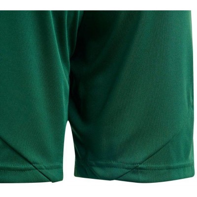 Adidas Tiro 24 Jr IT2409 shorts