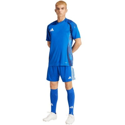 Adidas Tiro 24 M shorts IR9378