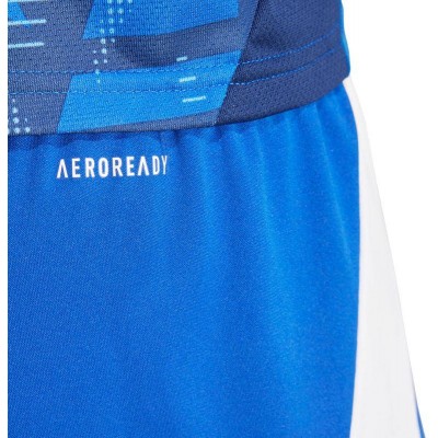 Adidas Tiro 24 M shorts IR9378