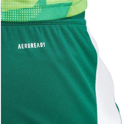 Adidas Tiro 24 M IS1410 shorts