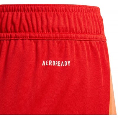Adidas Tiro 24 Jr IT2422 shorts