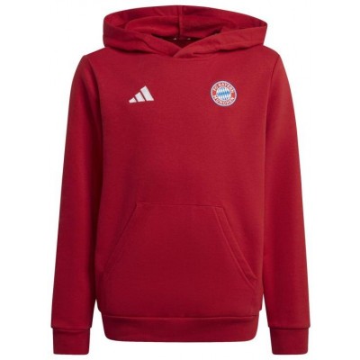 Adidas Bayern Munich Jr IT4134 sweatshirt