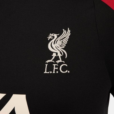 Nike Liverpool FC Strike Drill Top M FN9819-013 sweatshirt