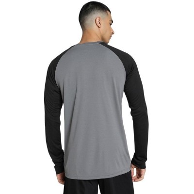 Puma teamPacer GK LS M goalkeeper sweatshirt 704933 43