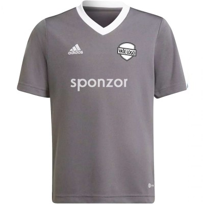 Dres adidas Entrada 22 JR (šedá)