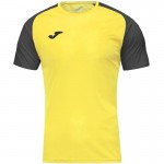 Joma Academy IV