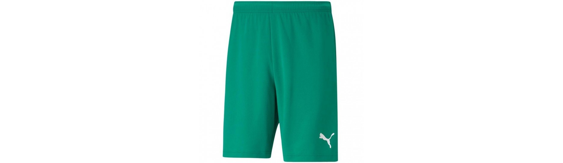 Puma teamRISE