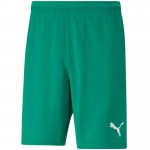 Puma teamRISE